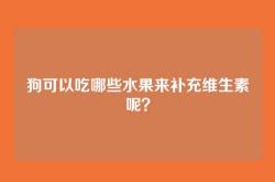 狗可以吃哪些水果来补充维生素呢？