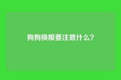 狗狗换粮要注意什么？