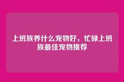 上班族养什么宠物好，忙碌上班族最佳宠物推荐