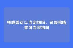 鸭嘴兽可以当宠物吗，可爱鸭嘴兽可当宠物吗