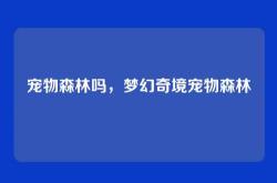宠物森林吗，梦幻奇境宠物森林