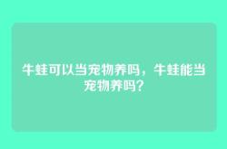 牛蛙可以当宠物养吗，牛蛙能当宠物养吗？