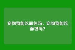 宠物狗能吃面包吗，宠物狗能吃面包吗？