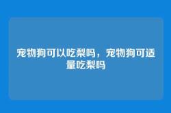 宠物狗可以吃梨吗，宠物狗可适量吃梨吗