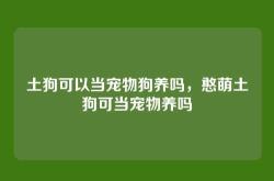 土狗可以当宠物狗养吗，憨萌土狗可当宠物养吗