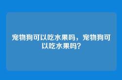 宠物狗可以吃水果吗，宠物狗可以吃水果吗？