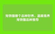 宠物猫哪个品种好养，温顺易养宠物猫品种推荐