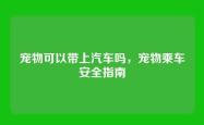 宠物可以带上汽车吗，宠物乘车安全指南