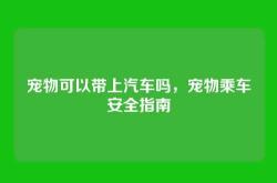 宠物可以带上汽车吗，宠物乘车安全指南