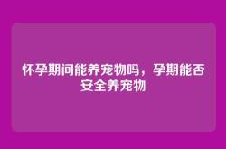 怀孕期间能养宠物吗，孕期能否安全养宠物
