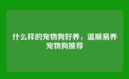 什么样的宠物狗好养，温顺易养宠物狗推荐