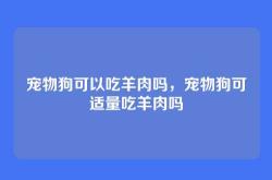宠物狗可以吃羊肉吗，宠物狗可适量吃羊肉吗