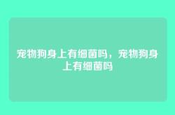 宠物狗身上有细菌吗，宠物狗身上有细菌吗