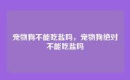宠物狗不能吃盐吗，宠物狗绝对不能吃盐吗