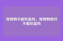 宠物狗不能吃盐吗，宠物狗绝对不能吃盐吗