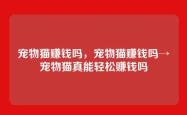 宠物猫赚钱吗，宠物猫赚钱吗→宠物猫真能轻松赚钱吗