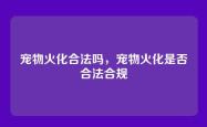 宠物火化合法吗，宠物火化是否合法合规