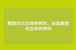 藏獒可以当宠物养吗，凶猛藏獒可当宠物养吗