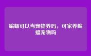 蝙蝠可以当宠物养吗，可家养蝙蝠宠物吗