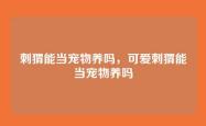 刺猬能当宠物养吗，可爱刺猬能当宠物养吗