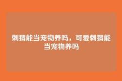 刺猬能当宠物养吗，可爱刺猬能当宠物养吗