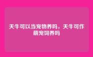 天牛可以当宠物养吗，天牛可作萌宠饲养吗
