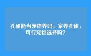 孔雀能当宠物养吗，家养孔雀，可行宠物选择吗？