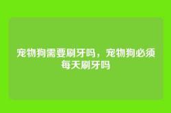 宠物狗需要刷牙吗，宠物狗必须每天刷牙吗
