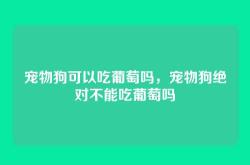 宠物狗可以吃葡萄吗，宠物狗绝对不能吃葡萄吗