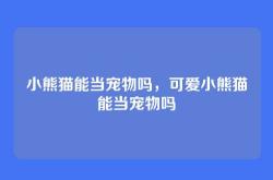 小熊猫能当宠物吗，可爱小熊猫能当宠物吗