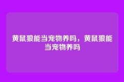 黄鼠狼能当宠物养吗，黄鼠狼能当宠物养吗