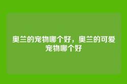 奥兰的宠物哪个好，奥兰的可爱宠物哪个好