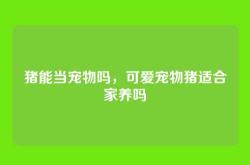 猪能当宠物吗，可爱宠物猪适合家养吗