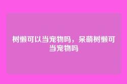 树懒可以当宠物吗，呆萌树懒可当宠物吗