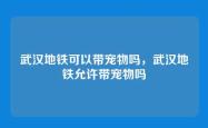 武汉地铁可以带宠物吗，武汉地铁允许带宠物吗