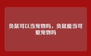 负鼠可以当宠物吗，负鼠能当可爱宠物吗