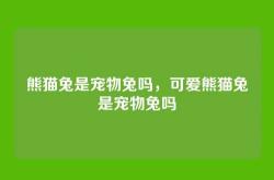 熊猫兔是宠物兔吗，可爱熊猫兔是宠物兔吗