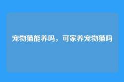 宠物猫能养吗，可家养宠物猫吗