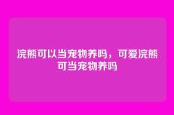 浣熊可以当宠物养吗，可爱浣熊可当宠物养吗