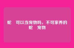 蛇獴可以当宠物吗，不可家养的蛇獴宠物