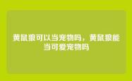 黄鼠狼可以当宠物吗，黄鼠狼能当可爱宠物吗