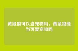 黄鼠狼可以当宠物吗，黄鼠狼能当可爱宠物吗