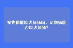 宠物猫能吃火腿肠吗，宠物猫能否吃火腿肠？