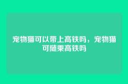 宠物猫可以带上高铁吗，宠物猫可随乘高铁吗