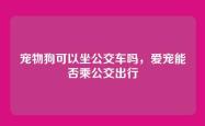 宠物狗可以坐公交车吗，爱宠能否乘公交出行