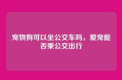 宠物狗可以坐公交车吗，爱宠能否乘公交出行