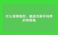 什么宠物龟好，最适合新手饲养的宠物龟