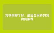 宠物狗哪个好，最适合家养的宠物狗推荐