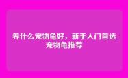 养什么宠物龟好，新手入门首选宠物龟推荐