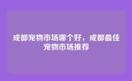 成都宠物市场哪个好，成都最佳宠物市场推荐